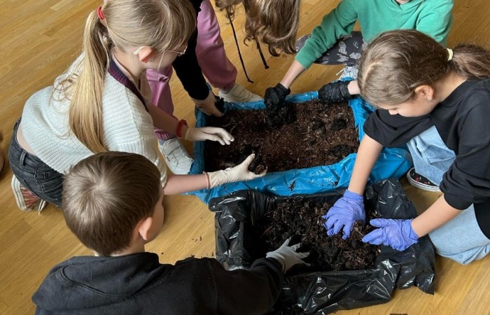 sadzenie pieczarek przez grupę uczniów