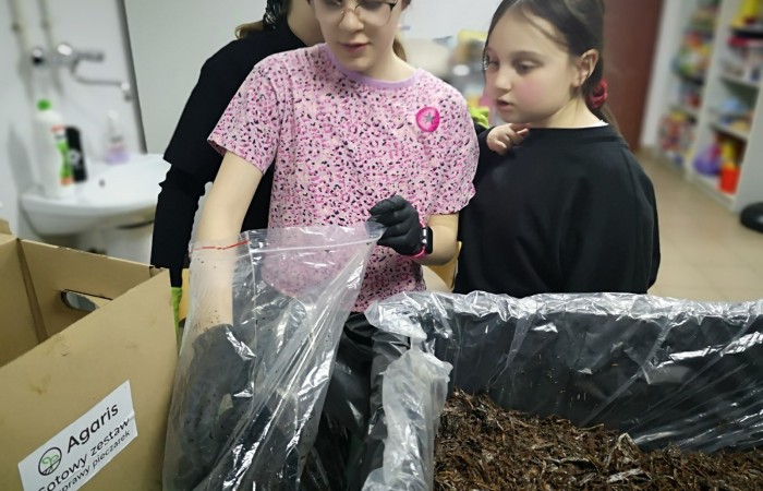 sadzenie pieczarek przez dwie dziewczynki