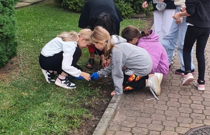 Klasa Vb sadzi cebulki